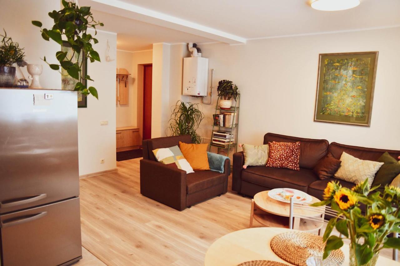 Central Park Apartment Birštonas Екстериор снимка