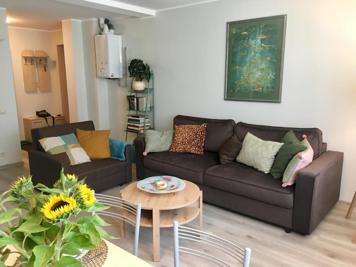 Central Park Apartment Birštonas Екстериор снимка